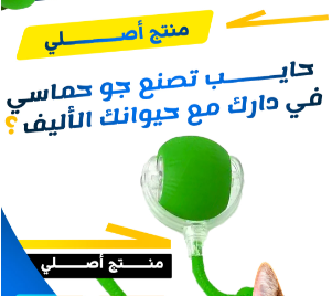 كرة القطط الذكية